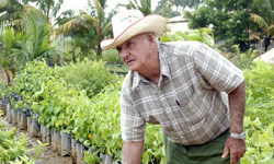 Cuban Agriculture Getting a Second Wind